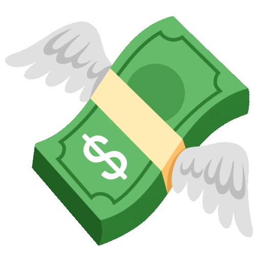 Money icon